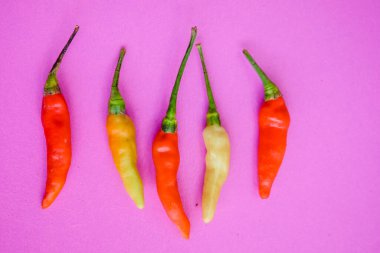 Renkli biber yayılıyor, boş arkaplan