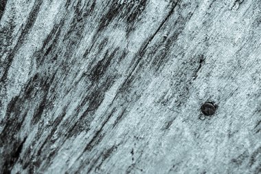 Bu arkaplan ya da doku resmi kullanılmamış bir odun yığınından alınmıştır