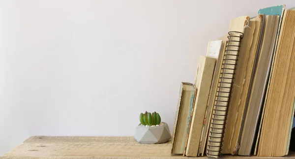 Boekenplank met groene vetplanten en oude boeken — Stockfoto