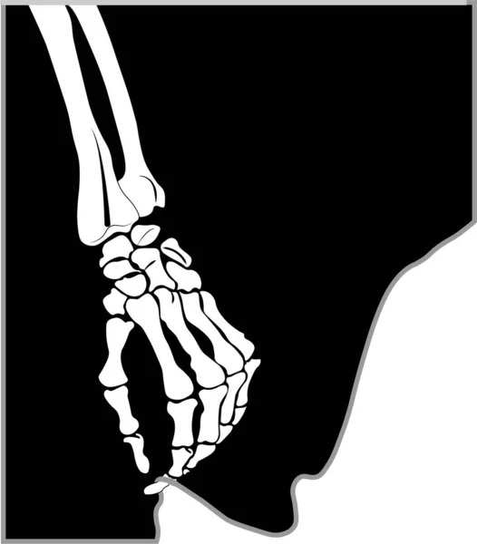 かわいい骨格の手のウェブベクトルイラスト ストックベクター