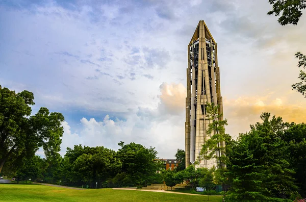 Naperville Julio 2018 Carillón Del Milenio Torre Moser Fueron Construidos —  Fotos de Stock