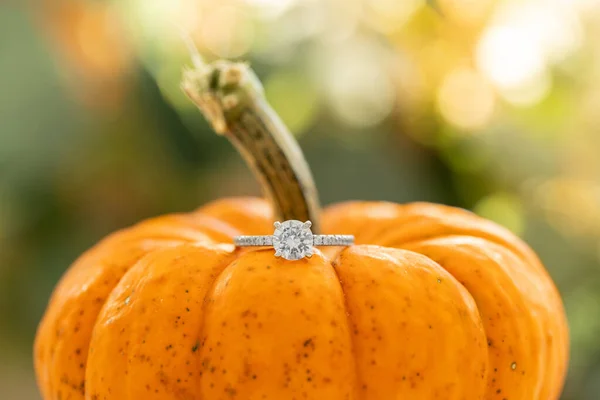 婚約指輪の詳細は 美しいぼやけた背景を持つオレンジ色のカボチャで撮影しました 田の深さが低い — ストック写真