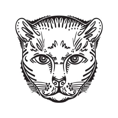 Baş kaplan portresi. Vektör illüstrasyonu