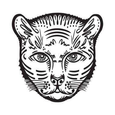 Kaplan 'ın başı. Vektör illüstrasyonu