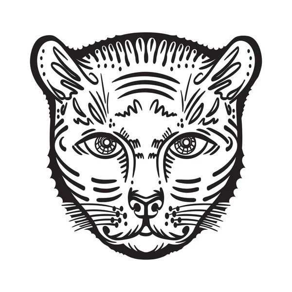 Kaplan 'ın başı. Vektör illüstrasyonu