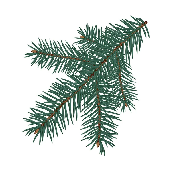 Green fluffy pine branch. Isolated on transparent background — Vettoriale Stock