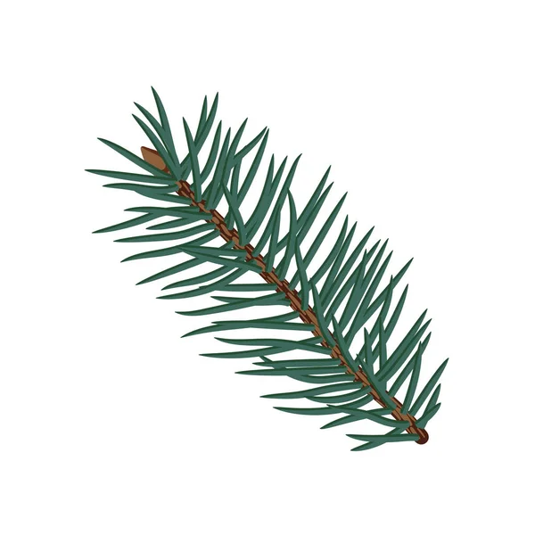 Green fluffy pine branch on transparent background — Vetor de Stock