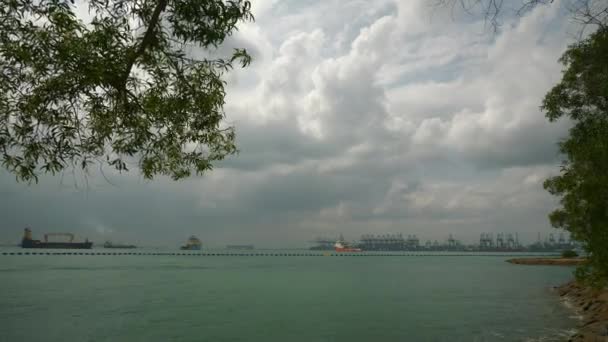 Singapur Circa 2020 Vista Diurna Barcos Muelle Bahía Panorama — Vídeos de Stock