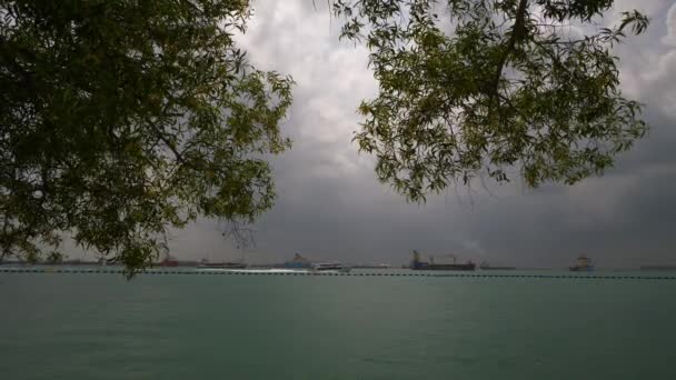 Singapur Circa 2020 Vista Diurna Barcos Muelle Bahía Panorama — Vídeo de stock