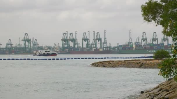 Singapur Circa 2020 Vista Diurna Barcos Muelle Bahía Panorama — Vídeos de Stock