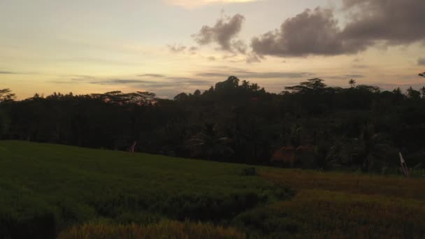 Sol Noite Tempo Bali Ilha Aldeia Calma Vida Aérea Panorama — Vídeo de Stock