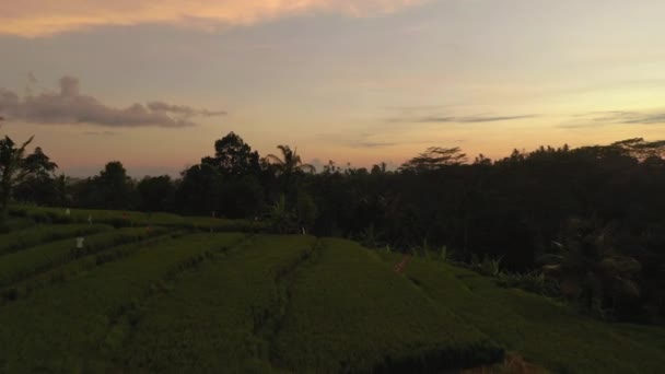 Sunny Evening Time Bali Island Village Calm Life Aerial Panorama Royalty Free Stock Footage
