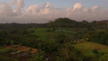 Güneşli akşam vakti Bali Adası Köyü sakin yaşam manzarası 4k Endonezya
