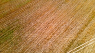 Yazın tarladan geçen bir kır yolunun havadan görünüşü. Tasarım için doku.