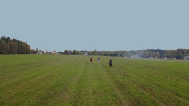 牧草地で馬を走らせているヴィンテージ衣装のグループライダーの空中ビュー 馬術の概念 田舎の生態交通 — ストック動画