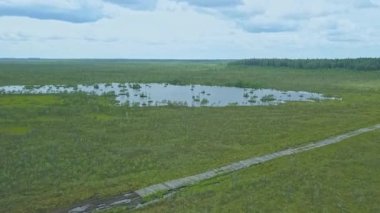 Bataklık manzarasının en üst görüntüsü. Göl 'le bataklık manzarası. Çevresel rezervasyon konsepti. Vahşi doğa arka planı.