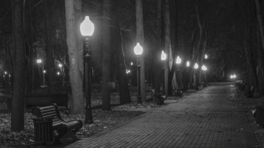 Gece gürültülü, siyah ve beyaz bir sonbahar parkı. Altın sonbahar sezonunda asfalt yaprakları ve banklar üzerine düşmüş. Fenerlerle aydınlatılmış..