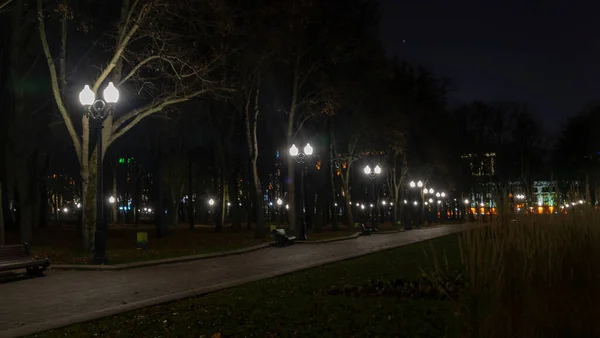 Nachtpark Met Omgevallen Gele Bladeren Het Trottoir Bankjes Het Gouden — Stockfoto