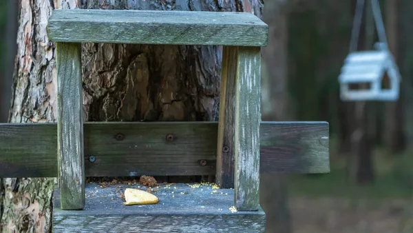 森の鳥の餌だ 森の中の鳥への餌やり 自家製の木製バードフィーダー 自然の中で鳥を助ける 野生生物の概念 — ストック写真