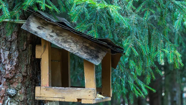 Vogelfutterhäuschen Wald Futterstelle Für Vögel Wald Hausgemachter Holzvogelfutterautomat Hilfe Für — Stockfoto