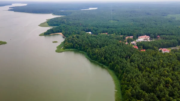 Fotografia Aérea Drones Árvores Verdes Crescer Margem Lago Natureza Paisagem — Fotografia de Stock