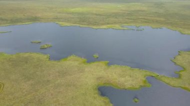 Bataklık manzarasının en üst görüntüsü. Göl 'le bataklık manzarası. Çevresel rezervasyon konsepti. Vahşi doğa arka planı.