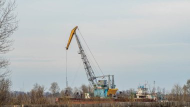 Nehirde yüzen vinç. Kıyıya yakın çalışan çekik gözlü vinç. Nehir akışını muhafaza et. Doğa, nehir, gökyüzü, bulutlar. Nehrin dibini temizliyorum..