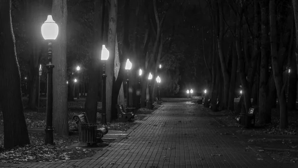 White Black Image Night Autumn Park Fallen Yellow Leaves Pavement — Stock Photo, Image