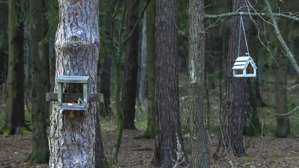 Vogelfutterhäuschen Wald Futterstelle Für Vögel Wald Hausgemachter Holzvogelfutterautomat Hilfe Für — Stockfoto