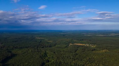 Yüksekten çam ormanı. Uçağı yemyeşil bir çam ormanının üzerinde..