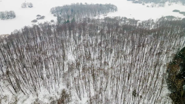 Luftaufnahme Von Bäumen Ohne Blätter Schneebedecktem Boden Weiße Winterlandschaft — Stockfoto