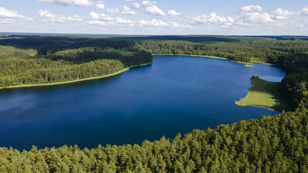 Letecká Fotografie Zelených Stromových Babizen Které Rostou Břehu Jezera Přírodní — Stock fotografie