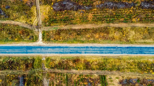 Sonbaharda Kırsal Asfalt Yolun Aşağı Havadan Görünüşü Sonbahar Renkleri Doğa — Stok fotoğraf