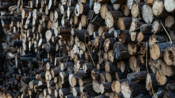 Úhledně Naskládané Velké Hromady Sekaných Polen Palivového Dřeva Připravených Zimu — Stock fotografie