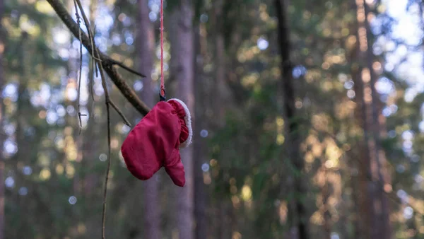 Une Mitaine Rouge Est Suspendue Arbre Dans Forêt Recherche Personnes — Photo