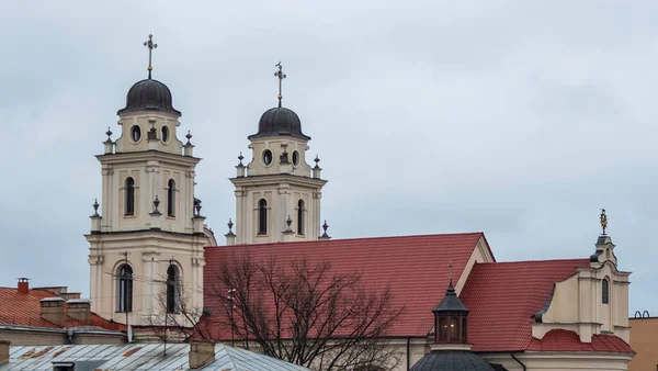 Katholische Kathedralkirche Historischen Zentrum Der Stadt Religiöses Erbe Des Mittelalters — Stockfoto