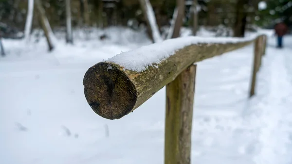 울타리가 겨울에는 울타리에 — 스톡 사진