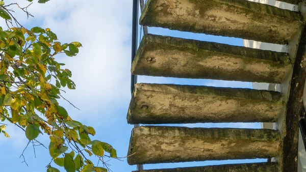 Vecchi Passi Concreti Ramo Autunno Albero Contro Cielo Azzurro Immagine — Foto Stock