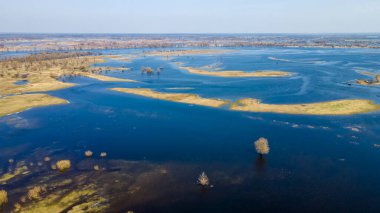 Nehir taşkınının havadan görüntüsü. Sel basmış güzel çayır. Nehir baharda suyla doluyken Pripyat nehrinin üzerinde uçmak.