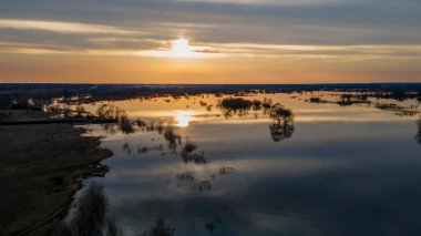 Gün batımında suların yükseldiği bir dönemde ağaçları sel basmış. Alacakaranlıkta sular altında kalan ağaçlar, Belarus 'un Turov kenti yakınlarındaki Pripyat Nehri' ni sel basıyor. Doğa ve seyahat kavramı.
