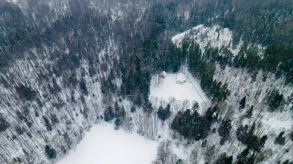 Vista Aérea Árvores Sem Folhas Solo Coberto Neve Cenário Inverno — Fotografia de Stock