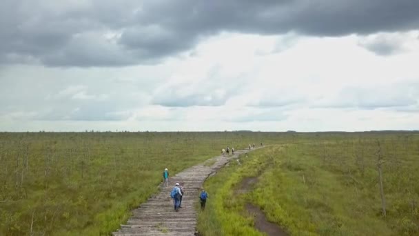 Εναέρια Άποψη Της Οικολογικής Διαδρομής Μέσα Από Βάλτο Άνθρωποι Που — Αρχείο Βίντεο