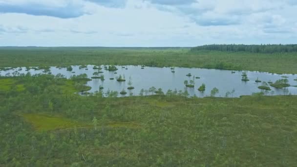 恥ずかしがり屋の風景のトップビュー 湖と沼の空中ビュー 環境保護の概念 野生自然背景 — ストック動画