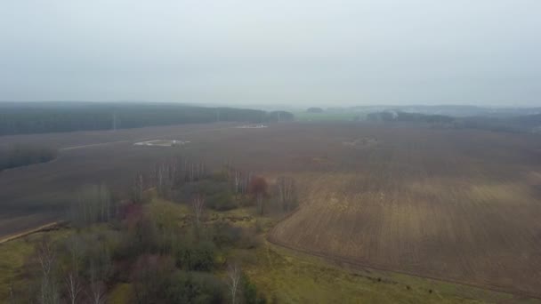 Fog Mist Covering Autumn Agricultural Fields Big City Lake Countryside — Stock Video