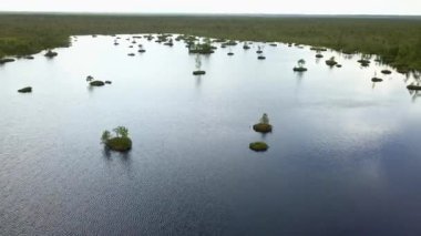 Bataklık manzarasının en üst görüntüsü. Göl 'le bataklık manzarası. Çevresel rezervasyon konsepti. Vahşi doğa arka planı.