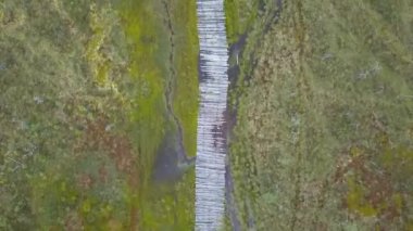 Bataklıktaki ekolojik yolun havadan görünüşü. İnsanlar bataklıktaki ahşap patikanın yanından geçiyorlar. Koruma ve çevre kavramı.