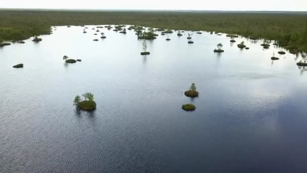 풍경의 호수가 습지를 공중에서 바라본다 환경의 — 비디오