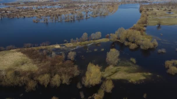 Затопленные Деревья Период Высокой Воды Деревья Воде Пейзаж Весенним Затоплением — стоковое видео