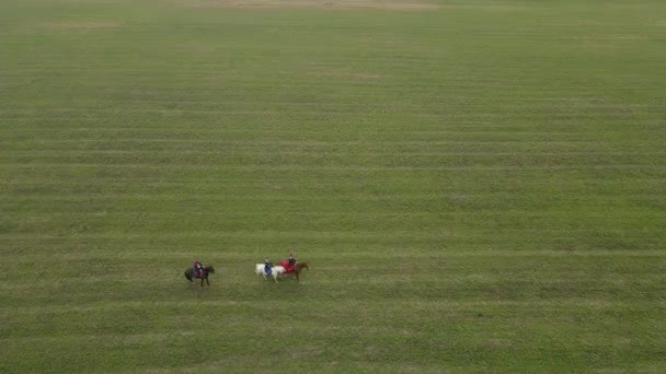 Aerial View Group Riders Vintage Costumes Riding Running Horses Meadow — Stock Video