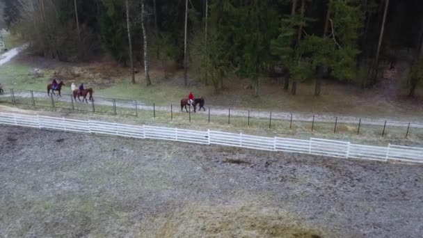 Люди Ездят Лошадях Снежному Ландшафту Активный Отдых Концепция Приключений — стоковое видео